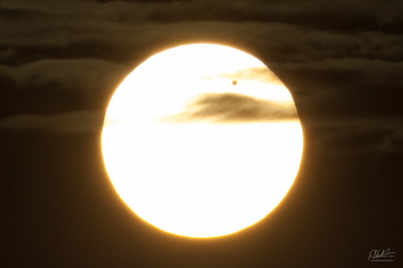 Transit of Venus