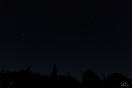 IMG 7820