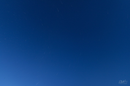 IMG 7835
