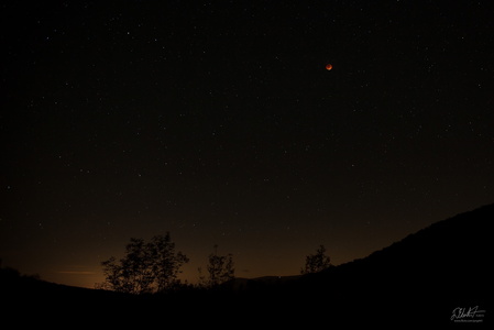 Blood Moon