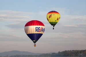 Re/Max and the Butterflies II
