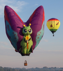 Butterfly Balloon Convention