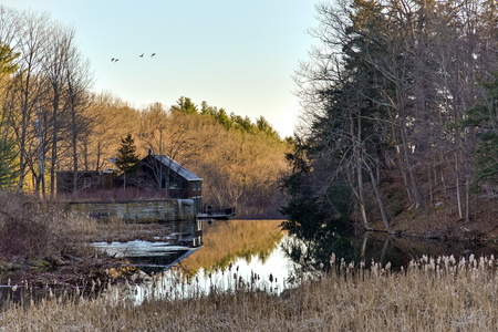 Rustic Serenity
