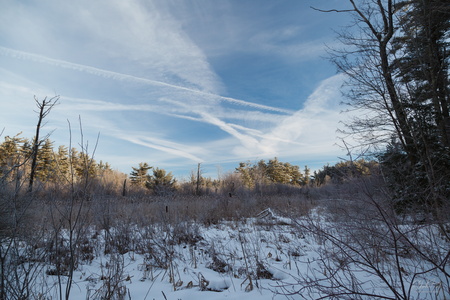 Winter Sky