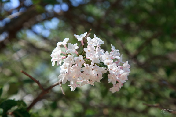 IMG 7346