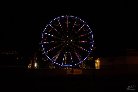 IMG 2019