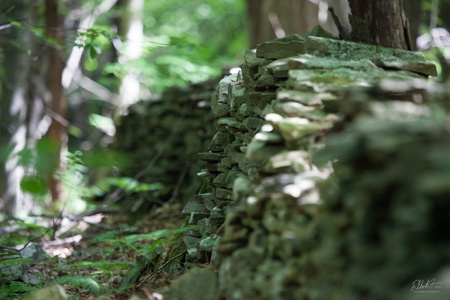 Wall