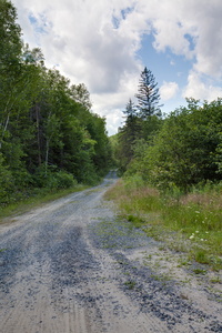 The Old Road