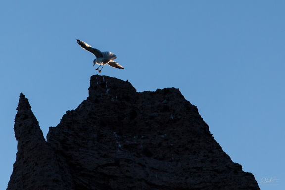 Landing