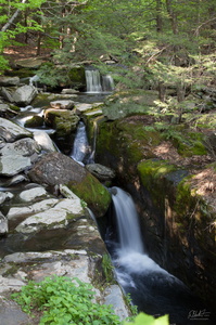 Mountain Stream