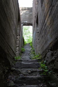 Ruins