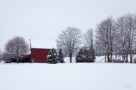 Winter