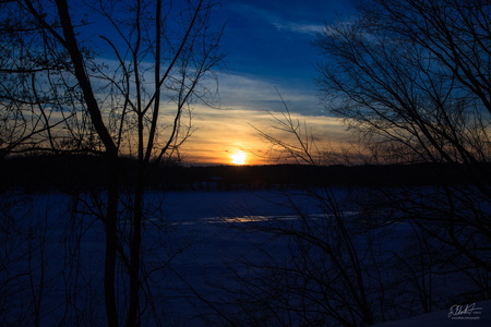 IMG 7297