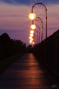 Dusk on Cobbs Hill