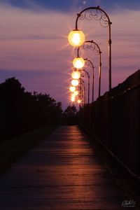 Dusk on Cobbs Hill