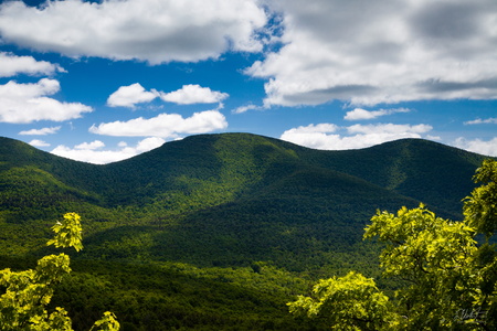 Blackhead Mountains