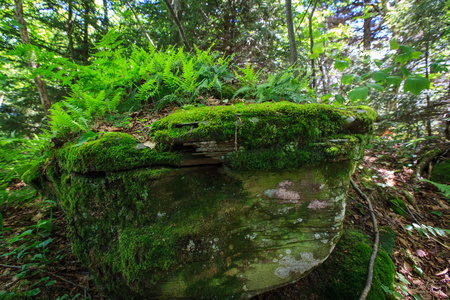 A Resting Stone...