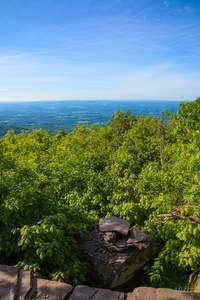 IMG 0721