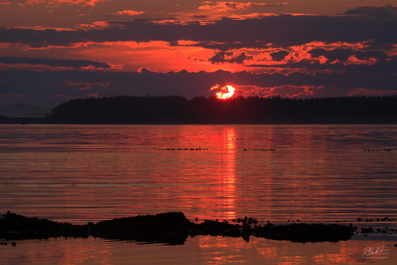 Ocean Sunrise