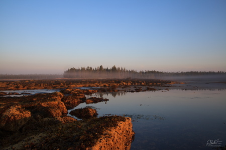 Maine Coast