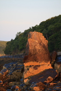 Bar Island Shoreline