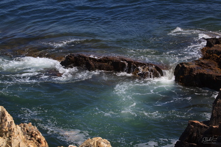 Tidal Pool