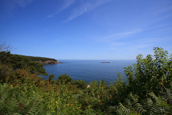 A Path Along the Shore