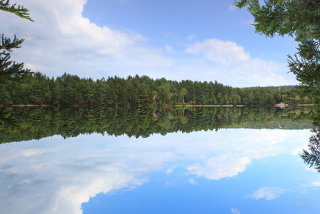 Like a Mirror