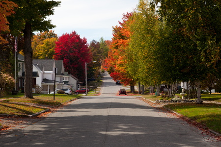 Autumn on Park Street