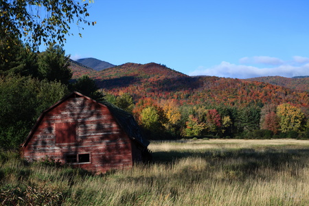 Rustic