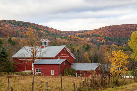 Edgewood Stock Farm