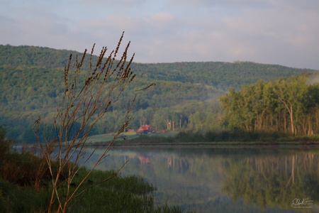 IMG 7477