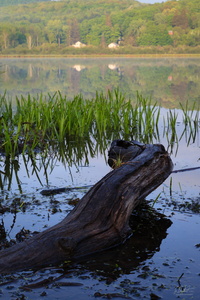 IMG 7480