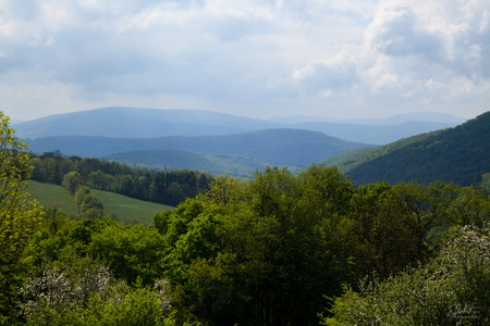 IMG 7569