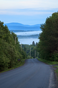 Fog in the Valley