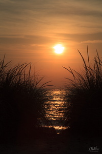 Sunset on the Lakeshore