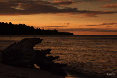 Stumped at Sunset