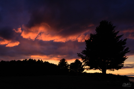 Purple Sky II
