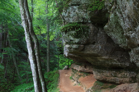 Into the Ravine