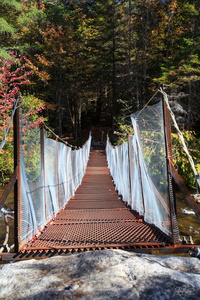 Crude Suspension Bridge