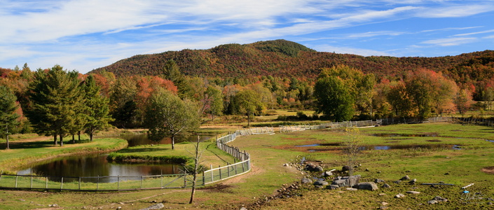 A Humble Farm Amongst the Mountains