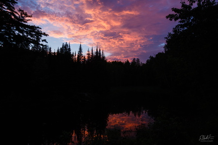 Purple Skies