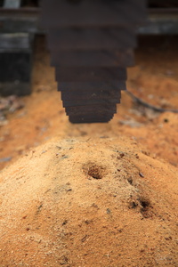 Sawmill