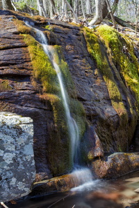 Stream and Stone