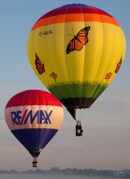 Re/Max and the Butterflies