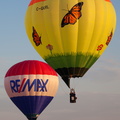 Re/Max and the Butterflies