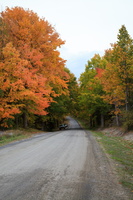 Fall on a Mountain Road