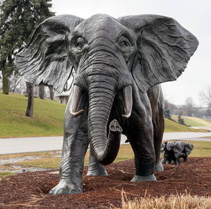 Elephants On Parade