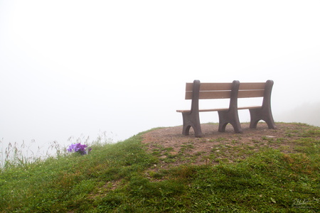 A Seat Atop a Sea of White
