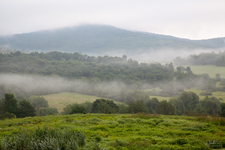 Fog on the Hills